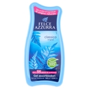 Felce Azzurra Aria di Casa classico Gel assorbiodori 140 g